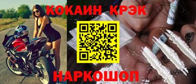 шишки Дубна