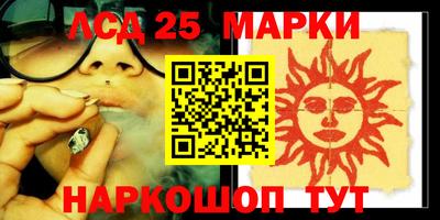 шишки Дубна