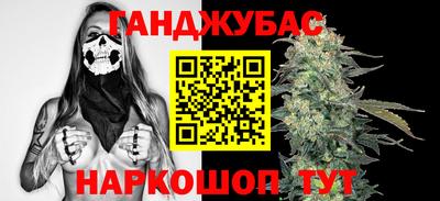 шишки Дубна