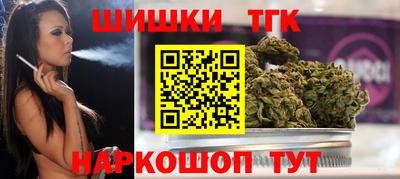 шишки Дубна