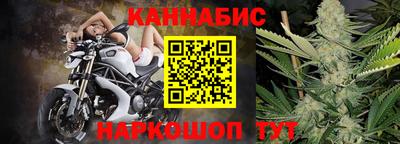 шишки Дубна
