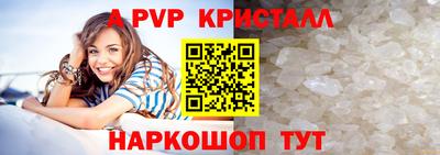 шишки Дубна